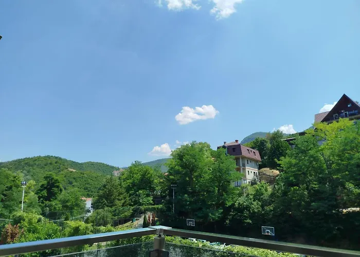 Vista Mdd * Sokobanja